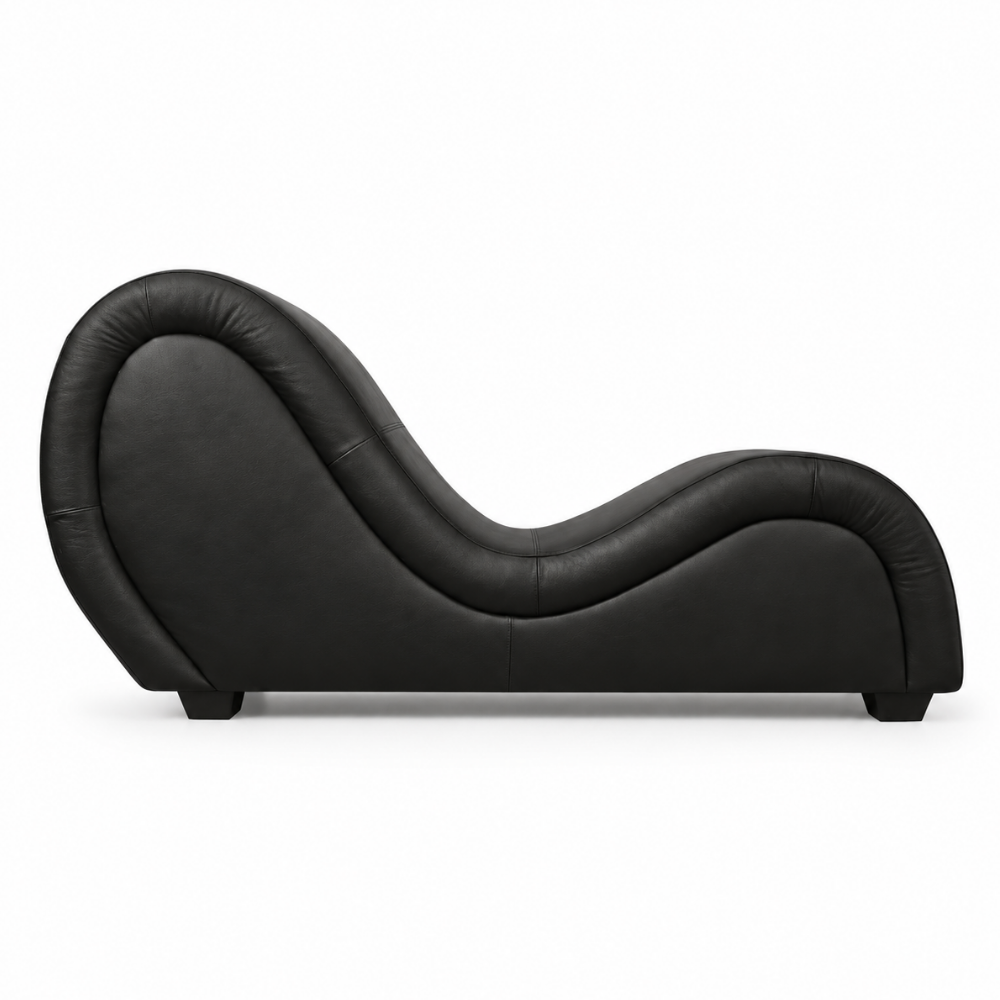 Mebon Chaise Love Lounge in Black Genuine Leather – additional angle